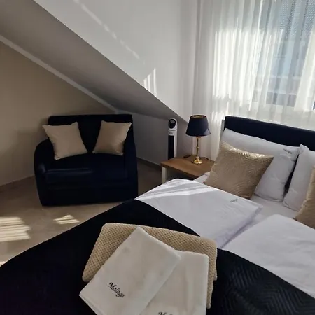 公寓 Malaga Ii 达尔沃沃